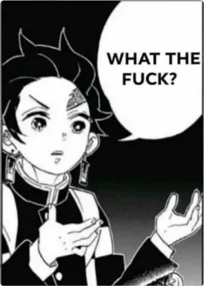 🤨 Tanjiro Kamado Demon Slayer WHAT THE FUCK? anime, demon slayer, manga, swear, tanjiro telegram sticker