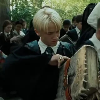 🐍 Draco Malfoy Harry Potter Draco Malfoy, Tom Felton, Harry Potter, Slytherin, mago, magia whatsapp sticker