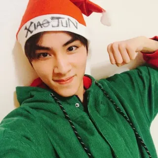 🤜 Xiao Jun XIAO JUN person, christmas, hat, man, smile, corduroy telegram sticker