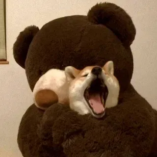 😫 chien, bâillement, shiba inu, ours en peluche, mignon, animal, animal de compagnie telegram sticker