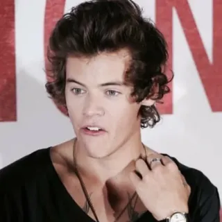 🌸 Harry Styles célébrité, chanteur, harry styles, musique pop telegram sticker