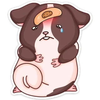 🤕 햄스터, 귀여운, 다친, 반창고, 슬픈 telegram sticker