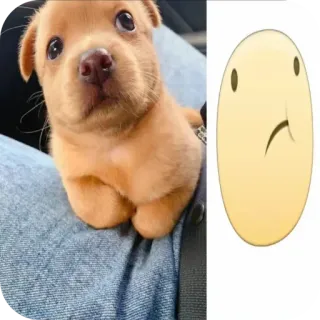🐶 chiot, chien, mignon, emoji, triste, animal de compagnie telegram sticker