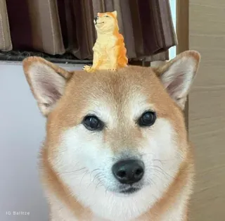 ❤️ dog, shiba inu, animal, pet, cute, doge, dog figurine telegram sticker