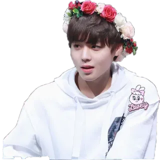 🙂 мальчик, цветы, толстовка, kpop, азиатский whatsapp sticker