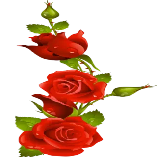 🌹 роза, цветок, красный, цветочный, растение, природа, сад telegram sticker
