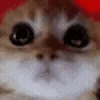 💥