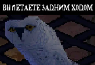 🕳 ВЫ ЛЕТАЕТЕ ЗАДНИМ ХОДОМ owl, bird, flying, pixel art telegram sticker