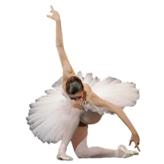 🙏 ballerina, dance, tutu, ballet, dancer, performance telegram sticker