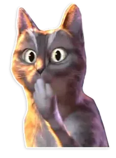 😱 cat, surprised, covering mouth, shocked telegram sticker