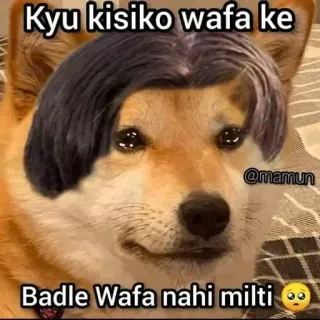 😭 Kyu kisiko wafa ke
Badle Wafa nahi milti 犬, 悲しい, ミーム, ヒンディー語, テキスト, 泣く telegram sticker