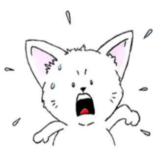 😱 chat, effrayé, dessin animé, blanc, choqué telegram sticker