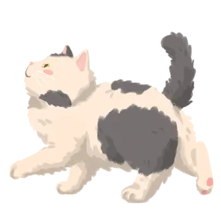 🐄 gatto, animale, animale domestico, carino, domestico, felino telegram sticker