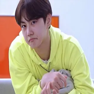 😟 personne, sweat à capuche, portrait, expression, Sung-Hoon whatsapp sticker