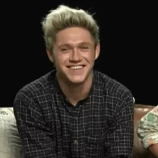 ✨ Niall Horan ไนออล ฮอแรน, One Direction, นักร้อง, ป็อปสตาร์, ไอริช, คนดัง telegram sticker
