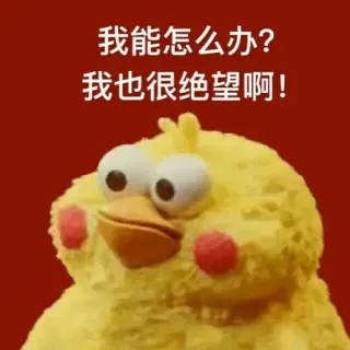 😩 我能怎么办?
我也很绝望啊! chicken, cartoon, chinese, meme telegram sticker