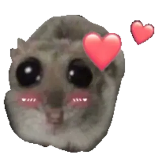 💕 hedgehog hedgehog, cute, love, hearts, blushing, animal, sticker telegram sticker