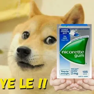 💊 YE LE !! doge, perro, nicorette, chicle, meme telegram sticker