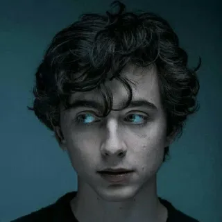 😕 Timothée Chalamet คนดัง, นักแสดง, ภาพเหมือน, ผู้ชาย, เพศชาย, ผมหยิก telegram sticker