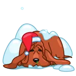😞 หมา, คริสต์มาส, หมวกซานต้า, หิมะ, ฤดูหนาว, วันหยุด, น่ารัก telegram sticker