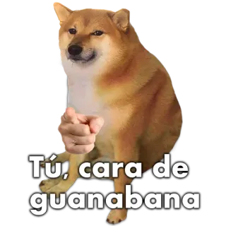 🐶 Tú, cara de guanabana doge, ชิบะอินุ, มีม, ทุเรียนเทศ, ชี้ whatsapp sticker