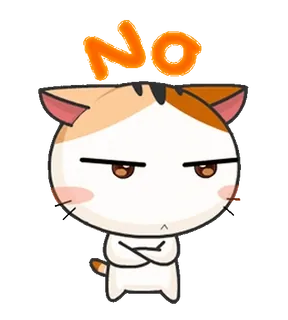 🙅‍♂️ NO kot, nie, sprzeciw, słodki, kreskówka whatsapp sticker