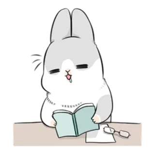 😊 conejo, leyendo, lindo, libro, gafas, cansado, dibujos animados telegram sticker