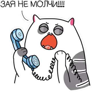 📱 ЗАЯ НЕ МОЛЧИ!!!! Katze, Handy, sprechend, Cartoon, Aufkleber, lustig telegram sticker