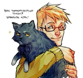 😺 Вас терроризируют птицы? Заведите кота! kat, huisdier, dier, man, bril, cartoon telegram sticker