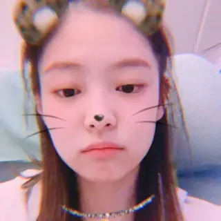 🦄 orelhas de gato, filtro facial, retrato, selfie whatsapp sticker