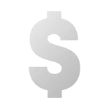💸