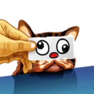 😲 кот, глаза, лицо, мультфильм, стикер whatsapp sticker