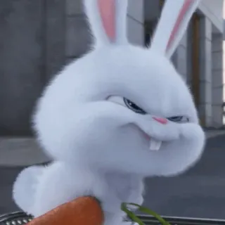 🐰 Snowball The Secret Life of Pets Hase, Häschen, Cartoon, animiert, Tier, Haustier, Schneeball telegram sticker