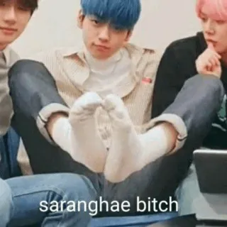 🌸 saranghae bitch 한국어, 슬랭, 불쾌한, 양말, 앉아있는, 실내 telegram sticker