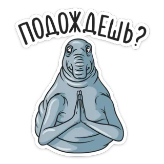 🙏 ПОДОЖДЕШЬ? animal, waiting, seal, cute, cartoon telegram sticker