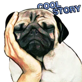 🙉 COOL STORY 퍼그, 개, 웃긴 이야기, 밈, 빈정거리는 telegram sticker