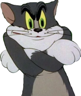 😏 Tom Cat Tom and Jerry gatto, cartone animato, arrabbiato, meme, tom e jerry, animato telegram sticker