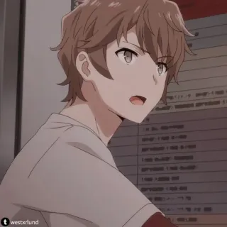 🌟 Sakuta Azusagawa Rascal Does Not Dream of Bunny Girl Senpai Anime, Bunny Girl Senpai, Sakuta Azusagawa, Anime Junge, Charakter telegram sticker