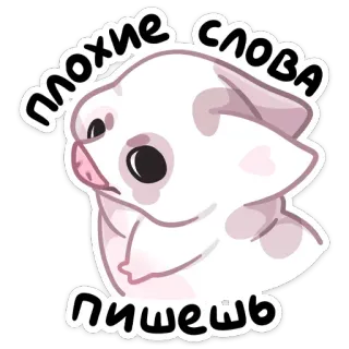 ☹ плохие слова пишешь 돼지, 귀여운, 동물, 스티커, 만화, 웃긴, 욕설 whatsapp sticker