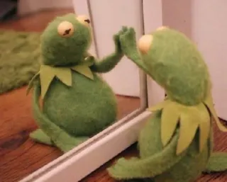 👐 Kermit Кермит Лягушонок, Кукла, Отражение, Зеркало, Маппет telegram sticker