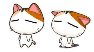 😑 gato, gatito, dibujo animado, pegatina, lindo, animal telegram sticker