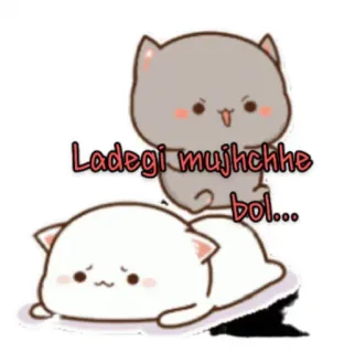 🤨 Ladegi mujhcchhe bol... cat, cute, cartoon, animal, sticker whatsapp sticker