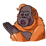 😦 오랑우탄, 영장류, 원숭이, 동물, 밈, 제스처, 웃긴 telegram sticker