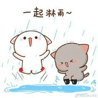 🌦 一起 淋雨~ cats, rain, cute, animation, kawaii, cartoon whatsapp sticker