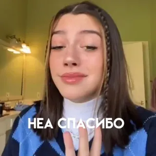 🧜‍♀️ НЕА СПАСИБО telegram sticker