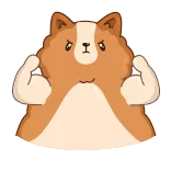 Hamster Bernard whatsapp stickers