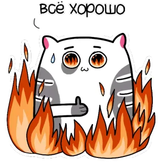 👍 Все хорошо katze, feuer, brennend, alles ist gut, russisch telegram sticker