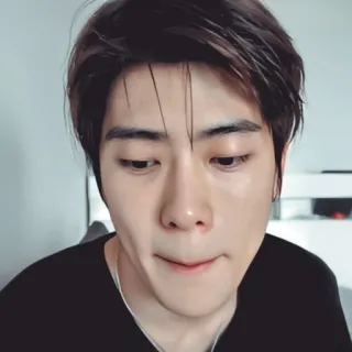 📸 人物, 男人, 肖像, 脸, 头像 telegram sticker
