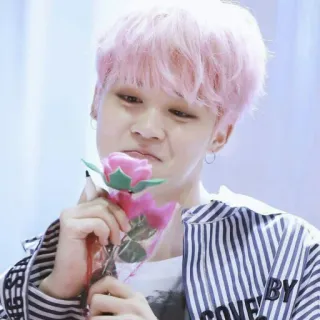 🍀 Jimin kpop, bts, pelo rosa, flor, idol, cantante whatsapp sticker
