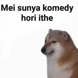 ✨ Mei sunya komedy hori ithe doge, meme, dog, funny telegram sticker